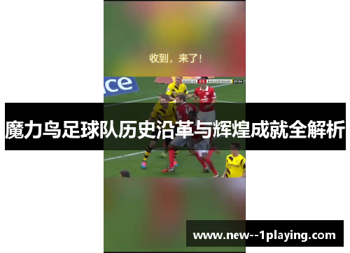 魔力鸟足球队历史沿革与辉煌成就全解析