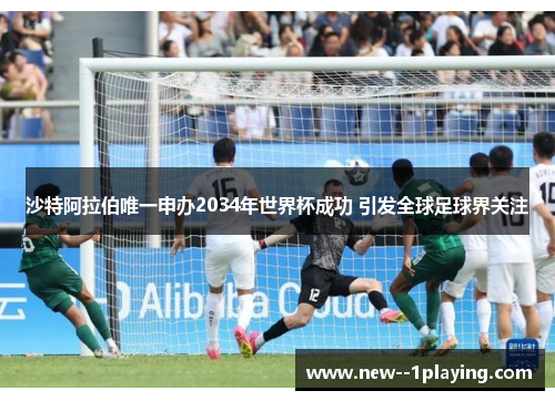沙特阿拉伯唯一申办2034年世界杯成功 引发全球足球界关注